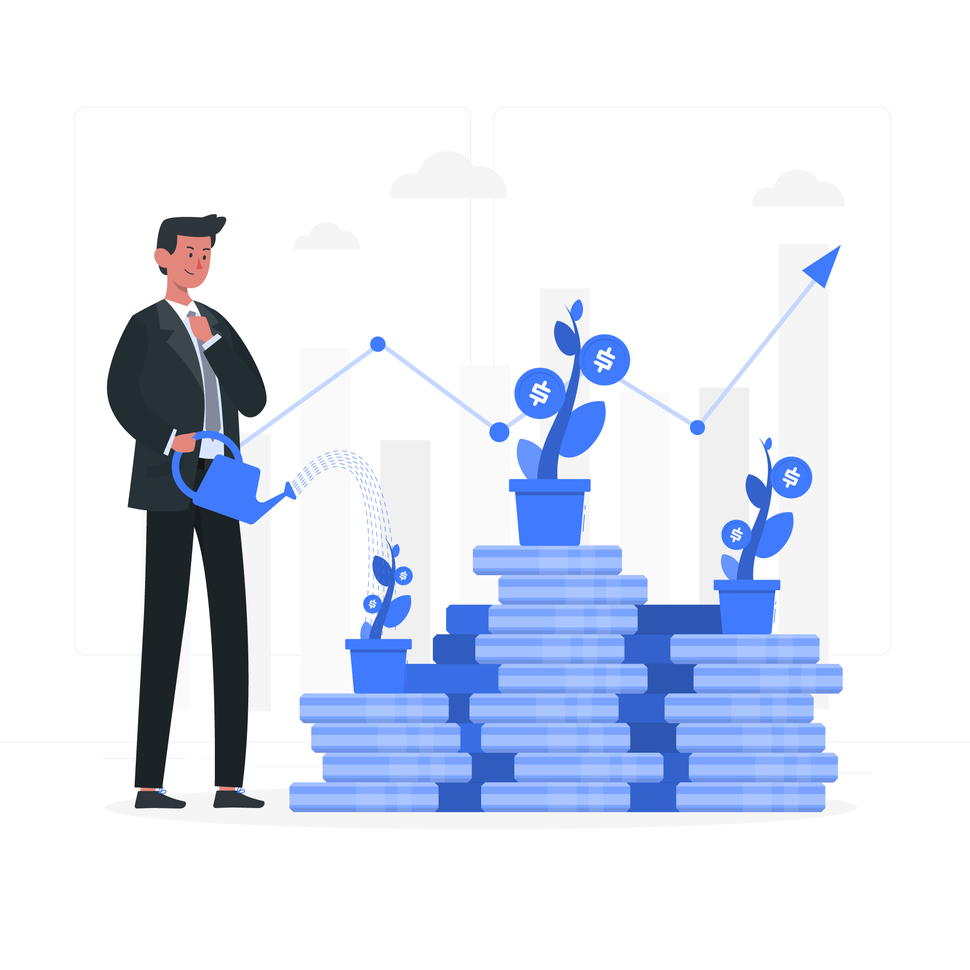 NRIs Investment